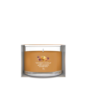 Citrouille Dorée - Votive...