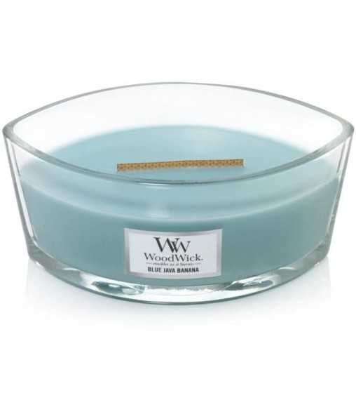 Banane bleue de Java - Ellipse Wood Wick - 1 Banane bleue de Java - Ellipse Wood Wick - 1