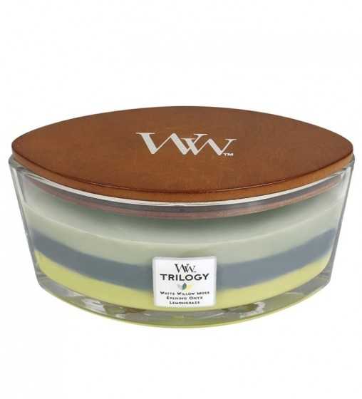 Trilogy Forêt ombragée - Ellipse Wood Wick - 1 Trilogy Forêt ombragée - Ellipse Wood Wick - 1