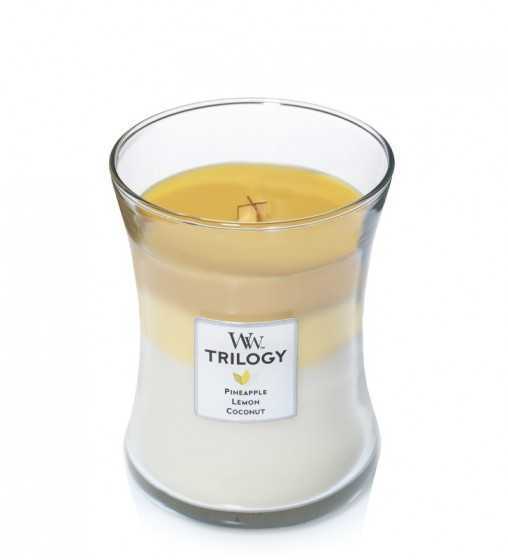 Trilogy Fruits d'été - Moyenne Jarre Wood Wick - 1 Trilogy Fruits d'été - Moyenne Jarre Wood Wick - 1