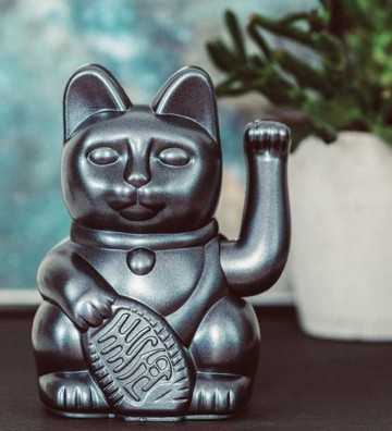 Lucky Cat - Galaxy Donkey - 1