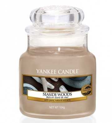 Bois en Bord de Mer - Petite Jarre Yankee Candle - 1