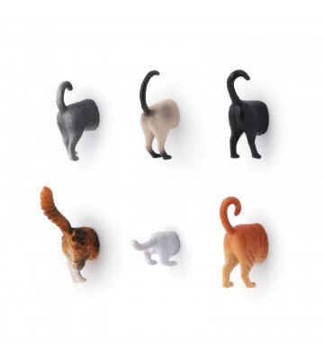 Set de 6 Magnets - Chats